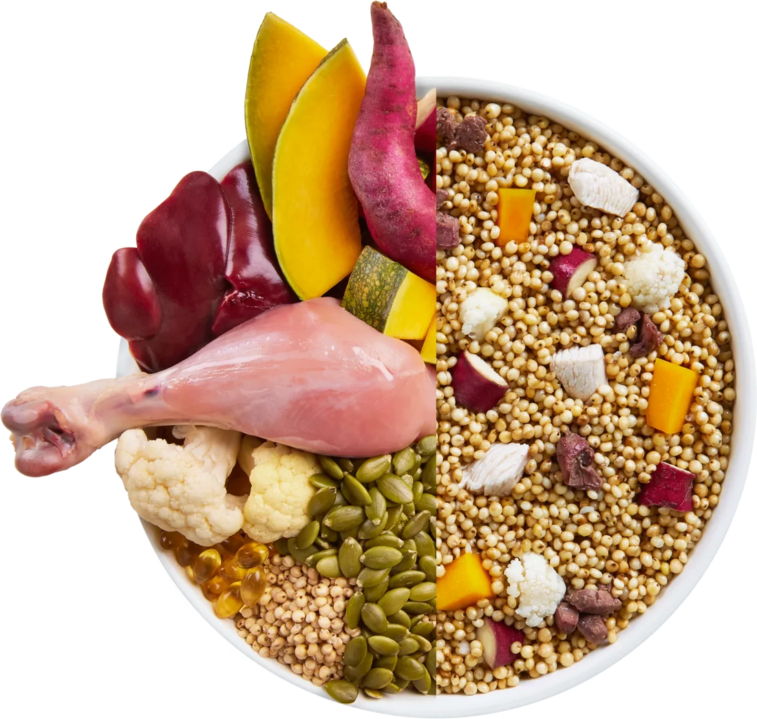 Nutrient-Rich Goulash: A Tail-Wagging Feast for Your Pooch