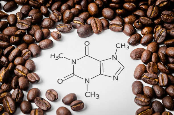 Caffeine and Canines: Understanding the Impact of Caffeine in Dog Diets