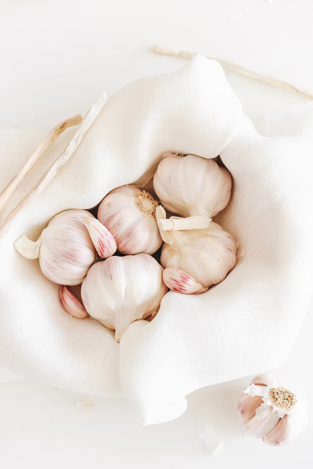 Debunking the Myth: Are Garlics Toxic for Dogs?
