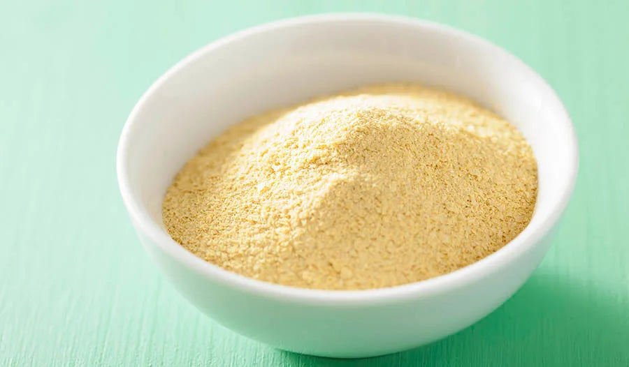 Unveiling the Canine Superfood: Brewer’s Yeast for Dogs