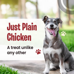 Chicken Jerky - Adult