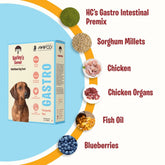 Gastrointestinal Meal