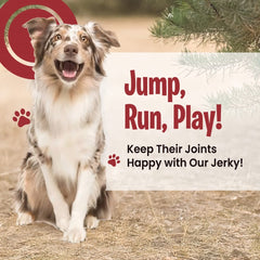 Joint Support Chicken Jerky
