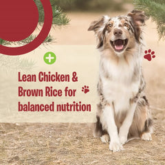 Obesity Meal (Weight Management)