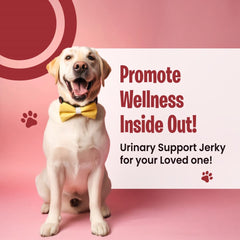 Urinary Support Chicken Jerky