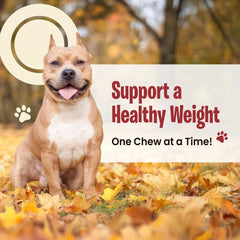 Weight Management Chicken Jerky