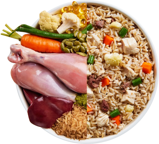 Signature Feast: A Nutrient-Rich Delight for Your Furry Friend