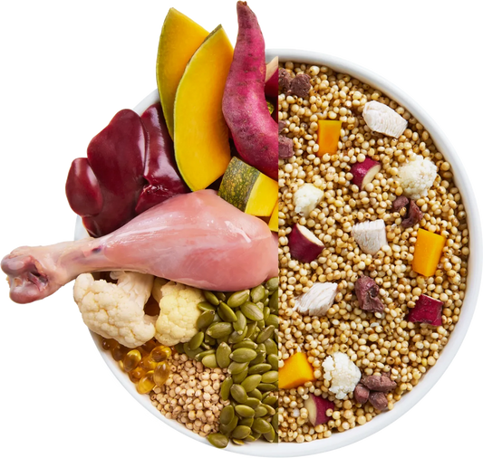 Nutrient-Rich Goulash: A Tail-Wagging Feast for Your Pooch