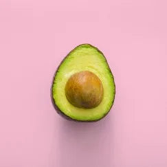 Can Dogs Eat Avocado? Separating Fact from Fiction